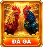 đá gà